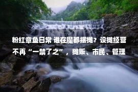 粉红章鱼日常 谁在魔都摆摊？设摊经营不再“一禁了之”，摊贩、市民、管理者怎么看