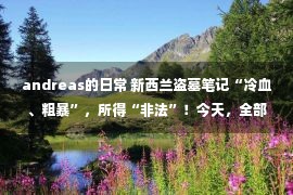 andreas的日常 新西兰盗墓笔记“冷血、粗暴”，所得“非法”！今天，全部送回新西兰！