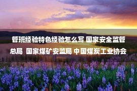 管班经验特色经验怎么写 国家安全监管总局  国家煤矿安监局 中国煤炭工业协会  中国能源化学工会关于印发国投塔山煤矿班组建设经验材料的通知