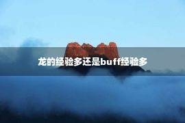 龙的经验多还是buff经验多