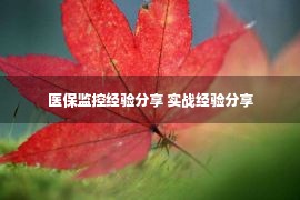 医保监控经验分享 实战经验分享