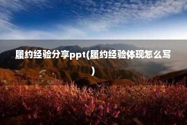 履约经验分享ppt(履约经验体现怎么写)