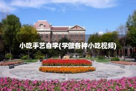 小吃手艺自学(学做各种小吃视频)