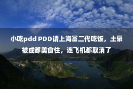 小吃pdd PDD请上海富二代吃饭，土豪被成都美食住，连飞机都取消了