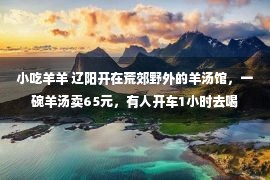 小吃羊羊 辽阳开在荒郊野外的羊汤馆，一碗羊汤卖65元，有人开车1小时去喝