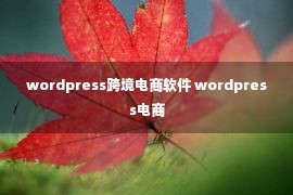 wordpress跨境电商软件 wordpress电商