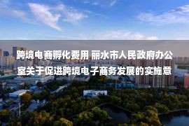 跨境电商孵化费用 丽水市人民政府办公室关于促进跨境电子商务发展的实施意见