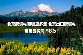 北京跨境电商哪里多些 北京出口跨境电商商品实现“秒放”