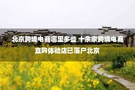 北京跨境电商哪里多些 十余家跨境电商直购体验店已落户北京