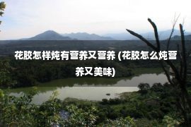 花胶怎样炖有营养又营养 (花胶怎么炖营养又美味)