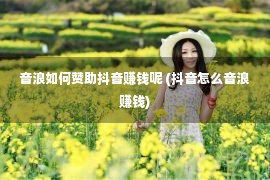 音浪如何赞助抖音赚钱呢 (抖音怎么音浪赚钱)