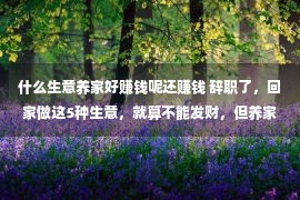 什么生意养家好赚钱呢还赚钱 辞职了，回家做这5种生意，就算不能发财，但养家不难