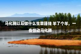 马化腾以后做什么生意赚钱 羊了个羊，一夜惊动马化腾