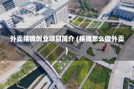 外卖摆摊创业项目简介 (摆摊怎么做外卖)