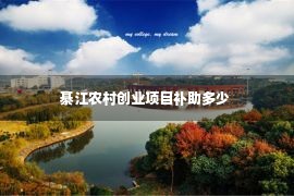 綦江农村创业项目补助多少 