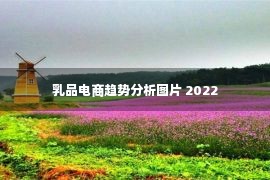 乳品电商趋势分析图片 2022