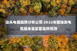 汕头电商趋势分析公司 2022年柴油发电机组未来发展趋势预测