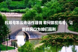 视频号怎么去运作赚钱 若何做视频号，让新的风口为咱们赢利