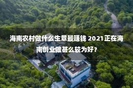 海南农村做什么生意最赚钱 2021正在海南创业做甚么较为好？