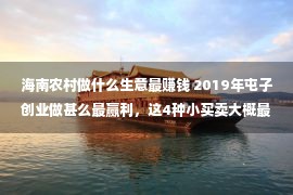 海南农村做什么生意最赚钱 2019年屯子创业做甚么最赢利，这4种小买卖大概最有远景