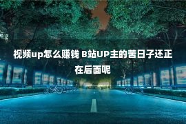 视频up怎么赚钱 B站UP主的苦日子还正在后面呢