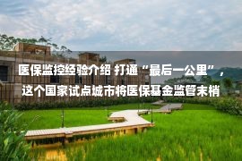 医保监控经验介绍 打通“最后一公里”，这个国家试点城市将医保基金监管末梢延伸至村室