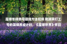 魔兽怎样养号赚钱方法视频 刚满级打工号的蓝绿养成计划，《魔兽世界》怀旧术士装备速成指南