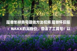 魔兽怎样养号赚钱方法视频 魔兽怀旧服：NAXX的高物价，带活了工具号！以小养大又成常态