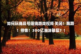 如何玩商品号赚钱游戏视频 关闭！跑路！停售！300亿泡沫破裂？！