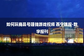 如何玩商品号赚钱游戏视频 西宁晚报·数字报刊