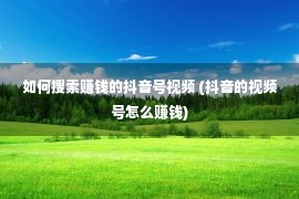 如何搜索赚钱的抖音号视频 (抖音的视频号怎么赚钱)