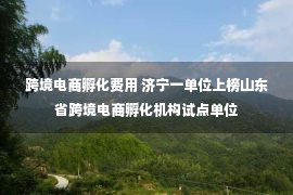 跨境电商孵化费用 济宁一单位上榜山东省跨境电商孵化机构试点单位