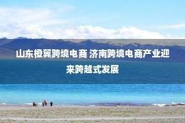 山东橙翼跨境电商 济南跨境电商产业迎来跨越式发展