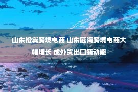 山东橙翼跨境电商 山东威海跨境电商大幅增长 成外贸出口新动能