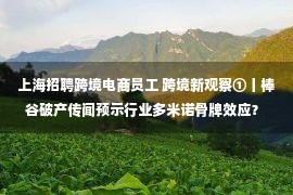 上海招聘跨境电商员工 跨境新观察①丨棒谷破产传闻预示行业多米诺骨牌效应？ “留在牌桌上”成集体诉求