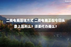 二类电商赚钱方式 二类电商正在今日头条上赢利么？须要代办商么？