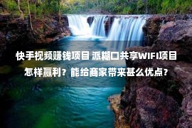 快手视频赚钱项目 派糊口共享WIFI项目怎样赢利？能给商家带来甚么优点？