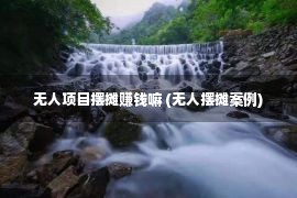 无人项目摆摊赚钱嘛 (无人摆摊案例)