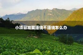 小项目加盟赚钱不赚钱怎么办 