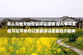 怎么投资文物修复项目赚钱 深入学习贯彻习近平总书记重要讲话重要指示精神 研究部署文物保护和盘活存量资产扩大有效投资等工作