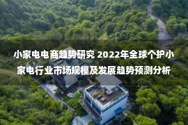 小家电电商趋势研究 2022年全球个护小家电行业市场规模及发展趋势预测分析