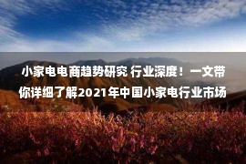 小家电电商趋势研究 行业深度！一文带你详细了解2021年中国小家电行业市场规模、竞争格局及发展趋势