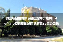 创业项目被喊停 踩雷三家中介机构！49个IPO项目集体喊停 还有超50家公司也面临中止风险