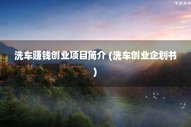 洗车赚钱创业项目简介 (洗车创业企划书)