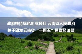 政府扶持绿色创业项目 云南省人民政府关于印发云南省“十四五”民营经济暨中小企业发展规划的通知