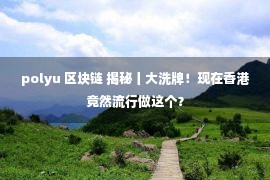 polyu 区块链 揭秘丨大洗牌！现在香港竟然流行做这个？