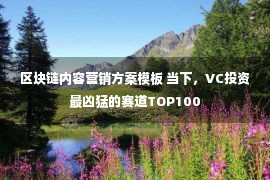 区块链内容营销方案模板 当下，VC投资最凶猛的赛道TOP100