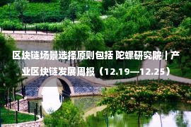 区块链场景选择原则包括 陀螺研究院｜产业区块链发展周报（12.19—12.25）