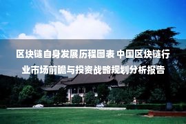 区块链自身发展历程图表 中国区块链行业市场前瞻与投资战略规划分析报告