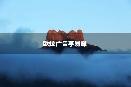 欧拉广告李易峰 